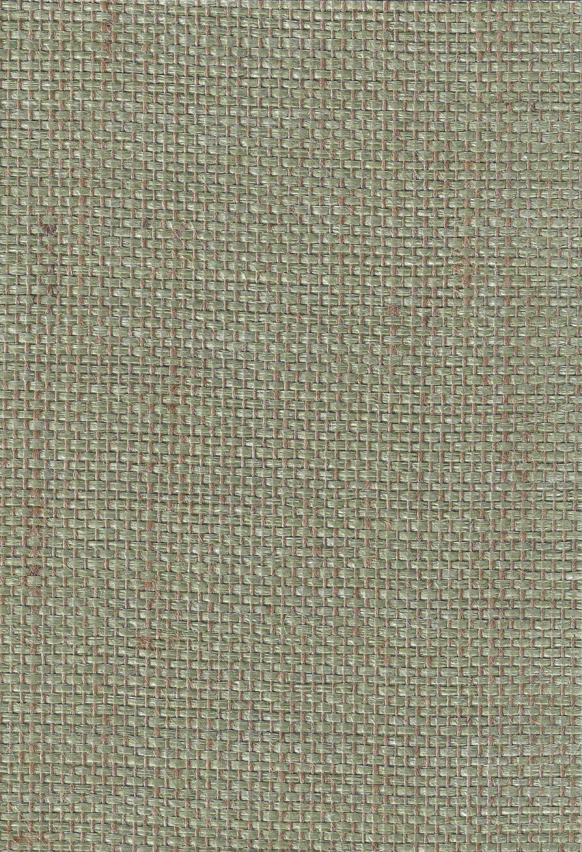 Nobora Paper Weave - Sage Tan