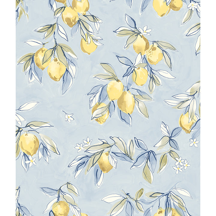 Lemonade Light Blue Citrus Wallpaper