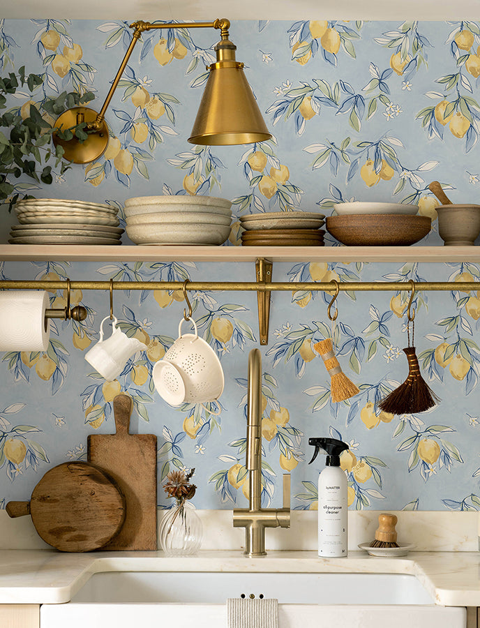 Lemonade Light Blue Citrus Wallpaper