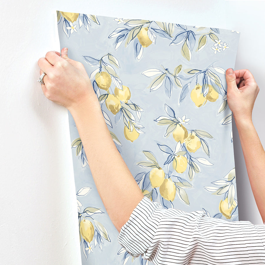 Lemonade Light Blue Citrus Wallpaper