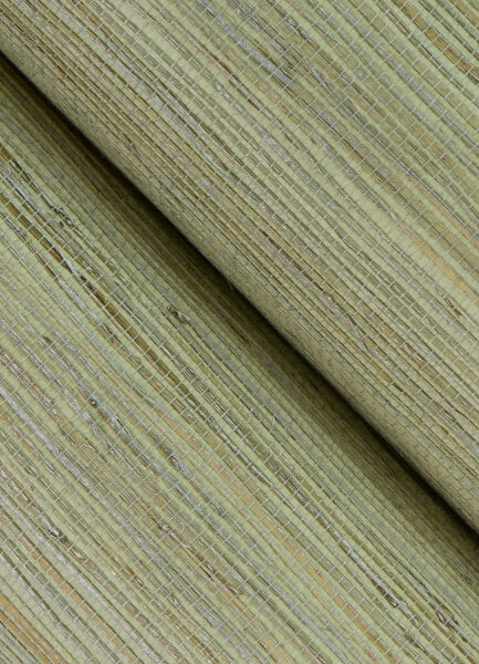 Shandong Sea Green Green Grasscloth Wallpaper