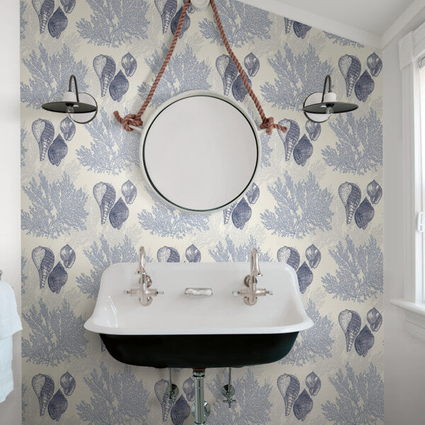 Nauset Blue Seashell Shores Wallpaper