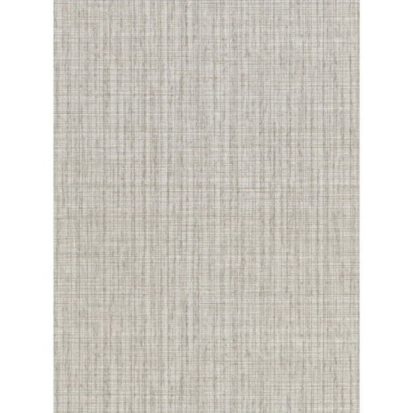 Blouza Grey Texture Wallpaper