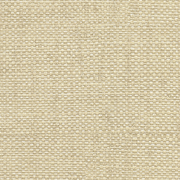 Caviar Taupe Basketweave Wallpaper