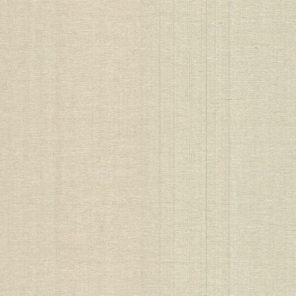 Aspero Champagne Faux Grasscloth Wallpaper