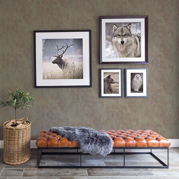 Drifter Brown Wood Wallpaper