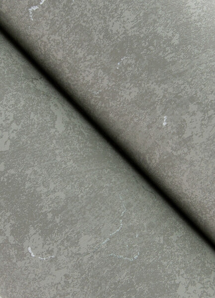 Pliny Light Grey Distressed Texture Wallpaper