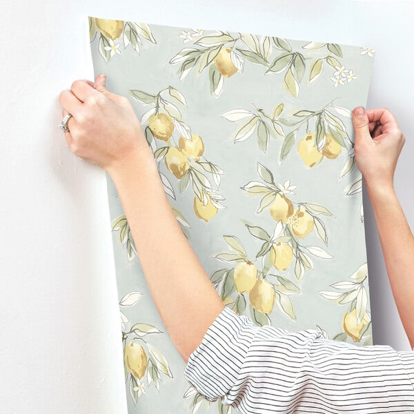 Lemonade Aqua Citrus Wallpaper