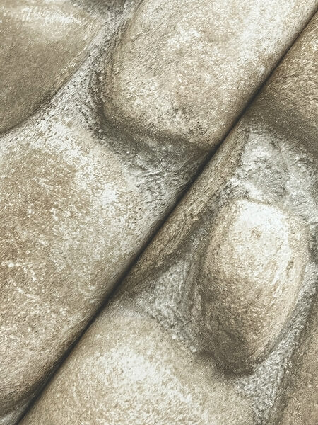 Root Rock Grey Wallpaper