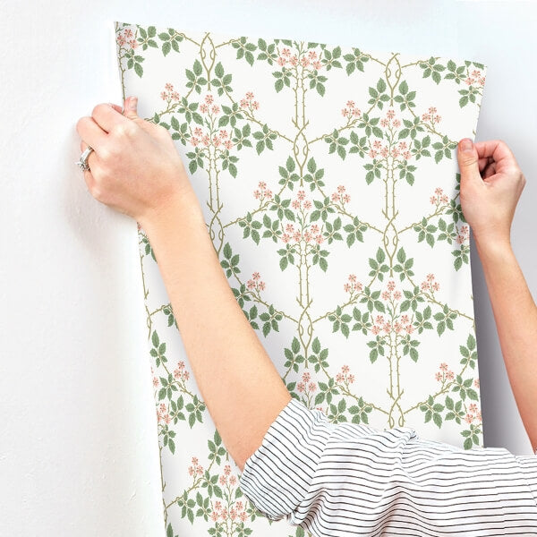 Blackberry Pink Vine Trellis Wallpaper