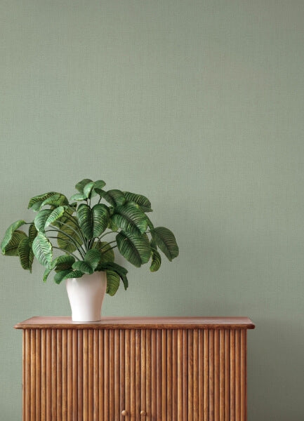 Naim Sage Solid Texture Wallpaper