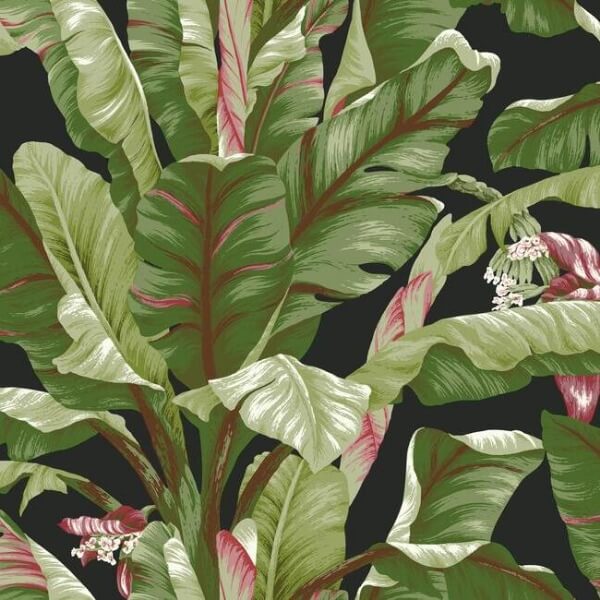 Banana Leaf Black & Red Wallpaper