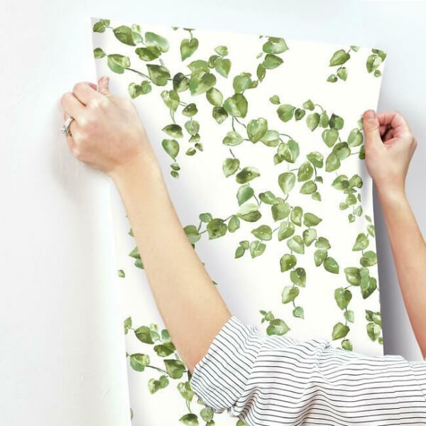 Creeping Fig Vine Green Wallpaper