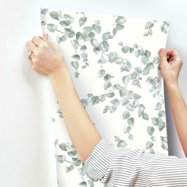 Creeping Fig Vine Sage Wallpaper