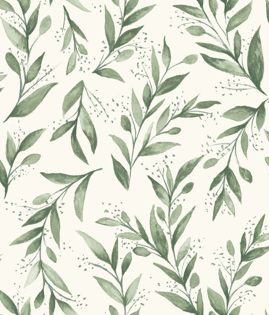 OLIVE BRANCH Wallpaper