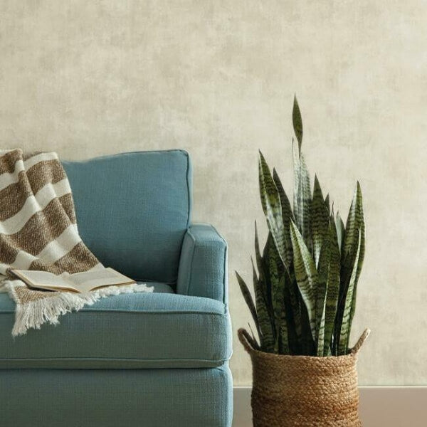 Plaster Finish Grey Wallpaper