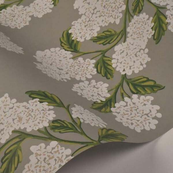 Hydrangea Grey Wallpaper