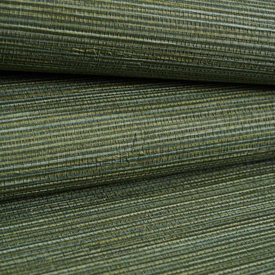 Salix - Leaf 12