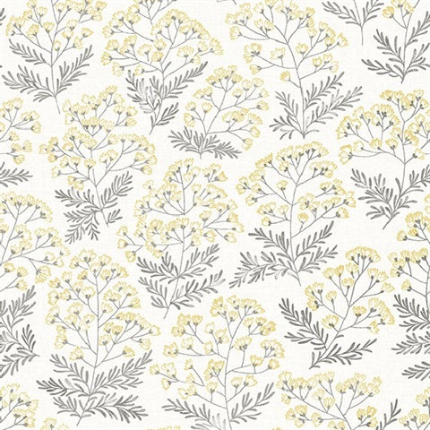 2861-25715 Floret Yellow Floral Equinox By A Street Prints