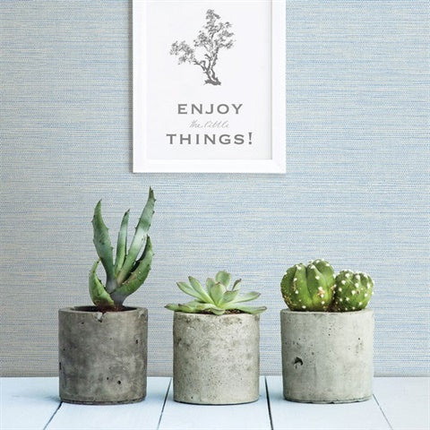 2821-24283 Agave Blue Grasscloth Wallpaper