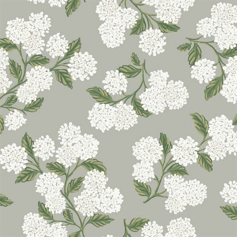 RI5144 Gray Hydrangea Wallpaper