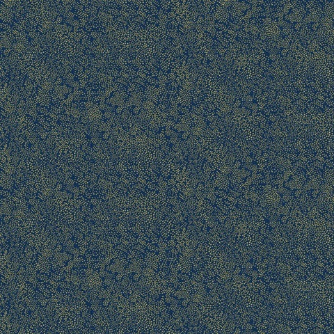 RI5113 Gold/Navy Champagne Dots Wallpaper