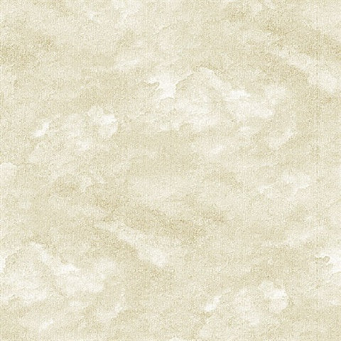 2861-25712 Bode Beige Cloud Equinox By A Street Prints