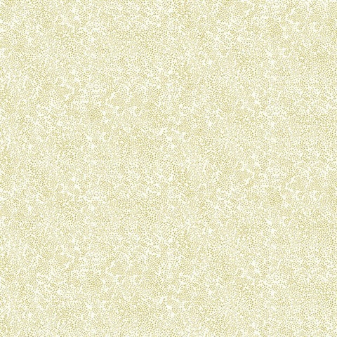 RI5112 Gold/White Champagne Dots Wallpaper