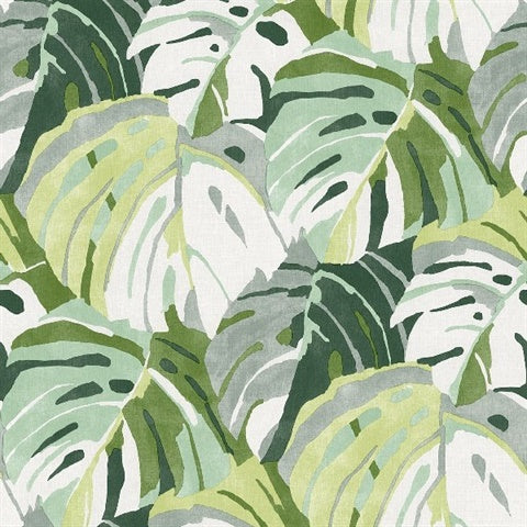 2969-26006 Samara Green Monstera Leaf Wallpaper by Brewster