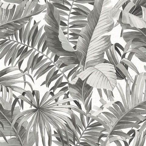 2969-24134 Alfresco Grey Tropical Palm Wallpaper by Brewster