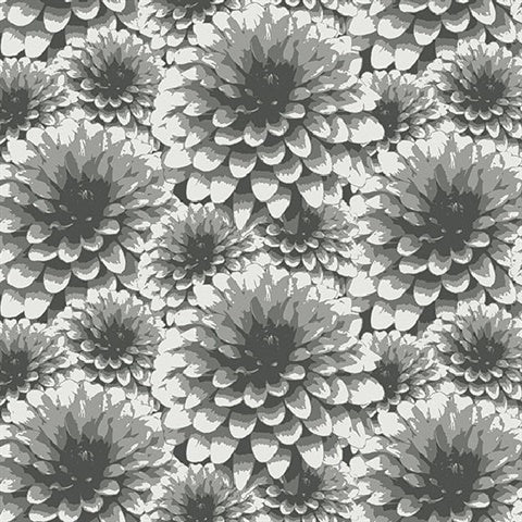 2861-87518 Umbra Charcoal Floral Equinox By A Street Prints