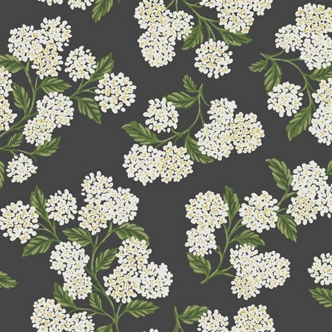 RI5146 Black/White Hydrangea Wallpaper