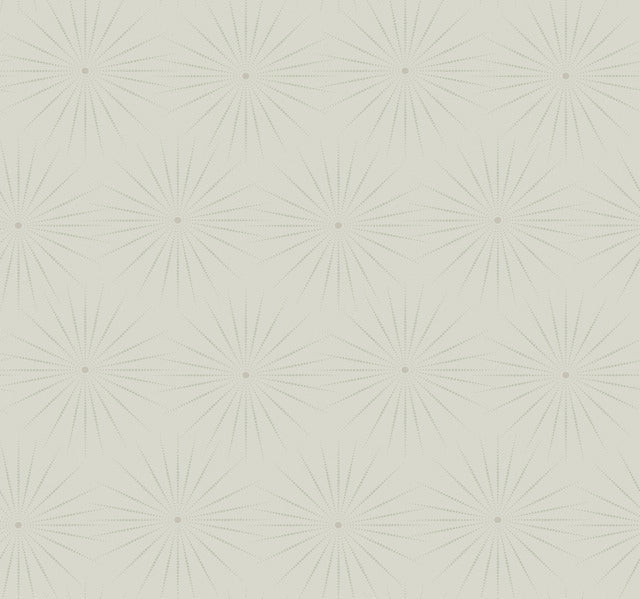 Gray/Glint Starlight Wallpaper