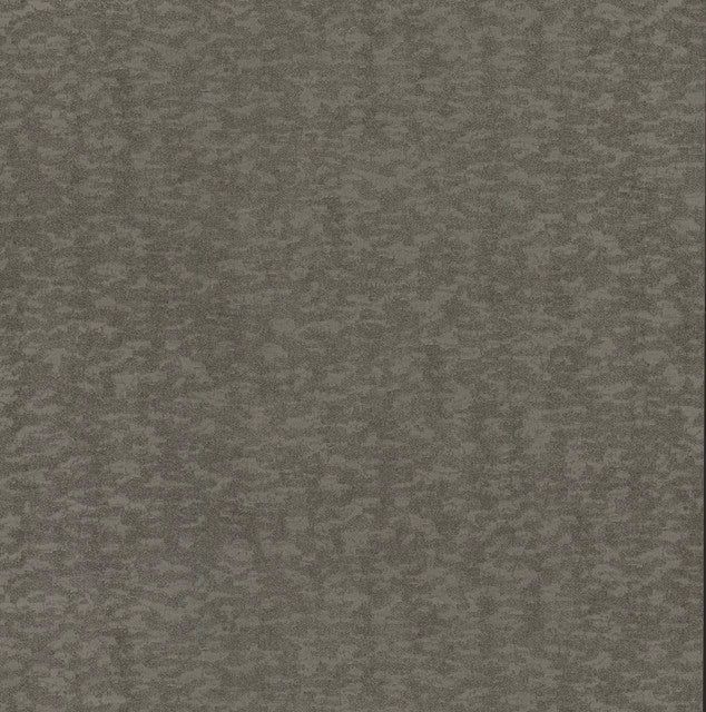 Silver Weathered Cypress Wallpaper
