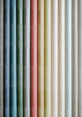 Navy Kissimmee Crocodile Wallpaper