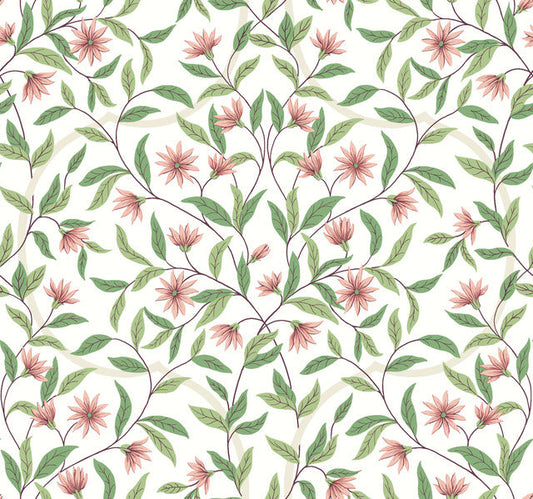Pink Jasmine Coral Wallpaper
