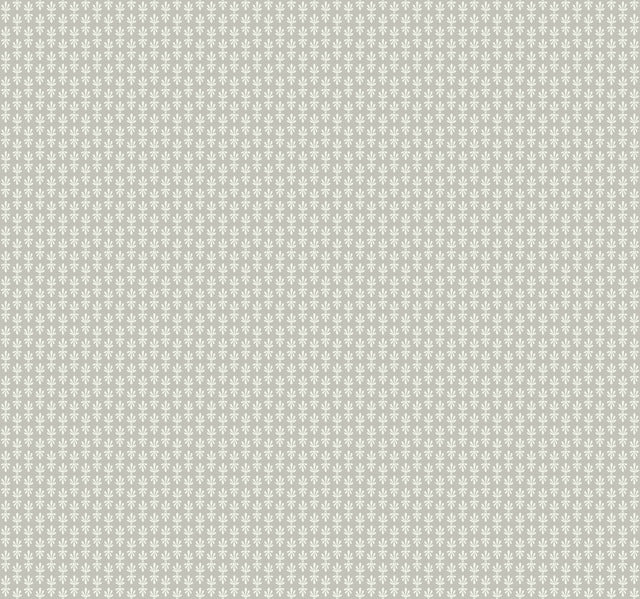 Black Petal Wallpaper