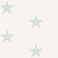 Mcgraw Teal Stars Wallpaper