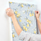 Lemonade Light Blue Citrus Wallpaper