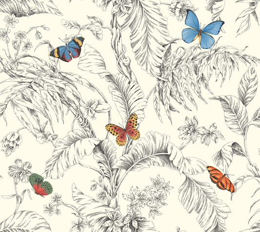 Papillon Wallpaper- Primary