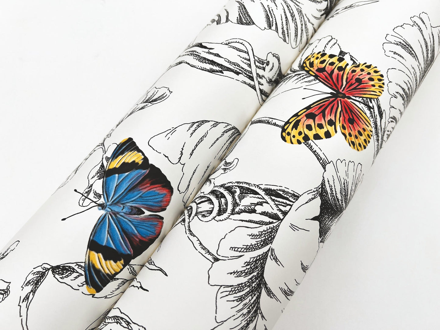 Papillon Wallpaper- Primary