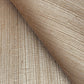 Maguey Silver and Beige Sisal Wallpaper- Silver and Beige
