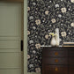 Aster Wallpaper- Black