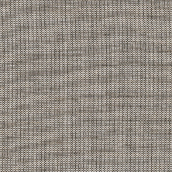 Cadence Cypress York High Performance Textile Wallcovering