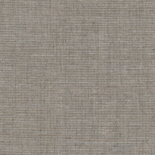 Cadence Cypress York High Performance Textile Wallcovering