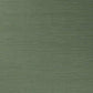 Salix - Leaf 12