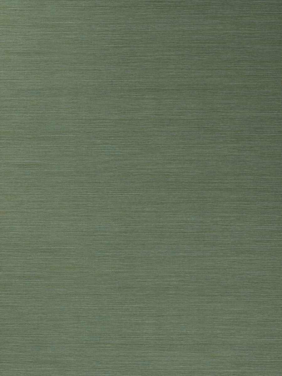 Salix - Leaf 12