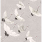 Windsong Grey Crane Wallpaper
