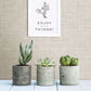 Mendocino Beige Linen Wallpaper