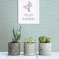 Agave Mint Faux Grasscloth Wallpaper